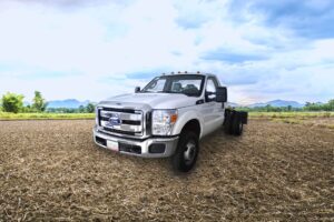 Camion Ford 350