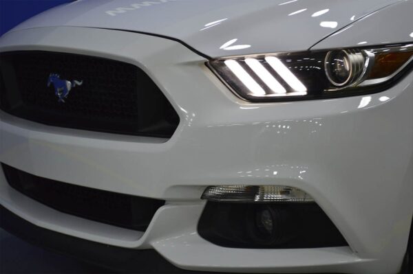 Mustang - 5269MI - Imagen 18