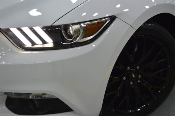 Mustang - 5269MI - Imagen 17