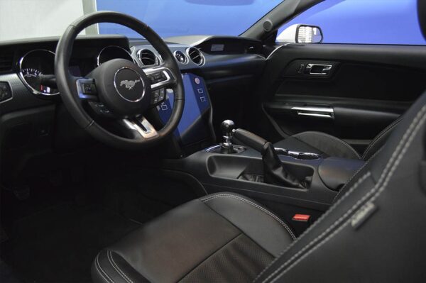 Mustang - 5269MI - Imagen 4