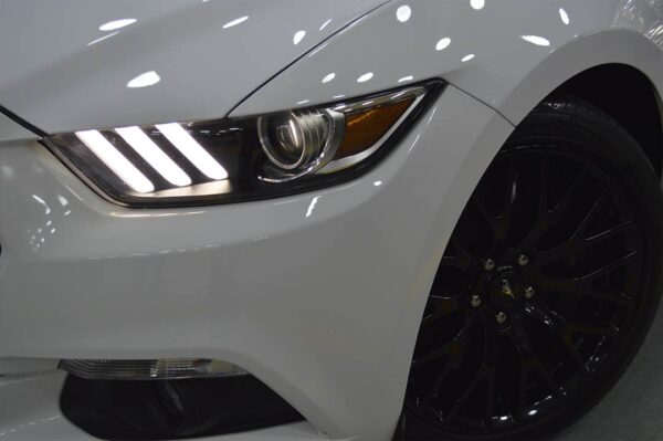 Mustang - 5269MI - Imagen 15