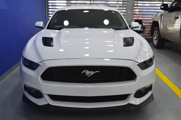 Mustang - 5269MI - Imagen 2