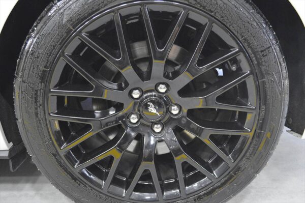 Mustang - 5269MI - Imagen 7