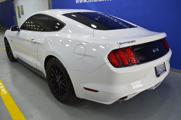 Mustang - 5269MI - Imagen 3
