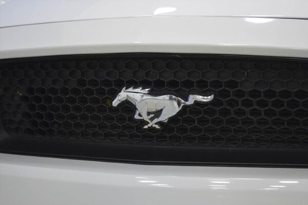 Mustang - 5269MI - Imagen 19