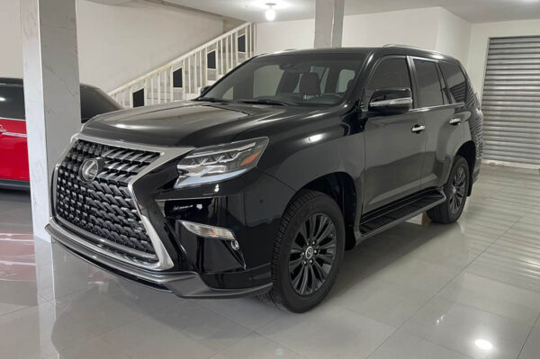 GX 460 - 121MI