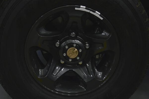 Land Cruiser - 250KM - Imagen 7